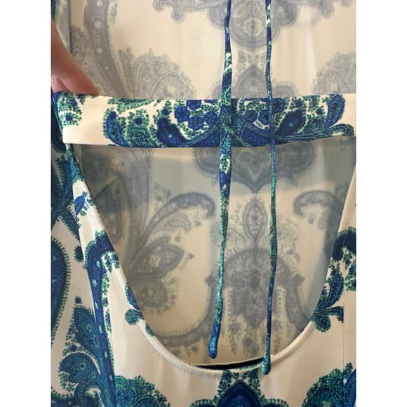 Cara Cara Aria Peacock Blue Print Long Sleeve Maxi Dress Size L - Picture 9 of 11